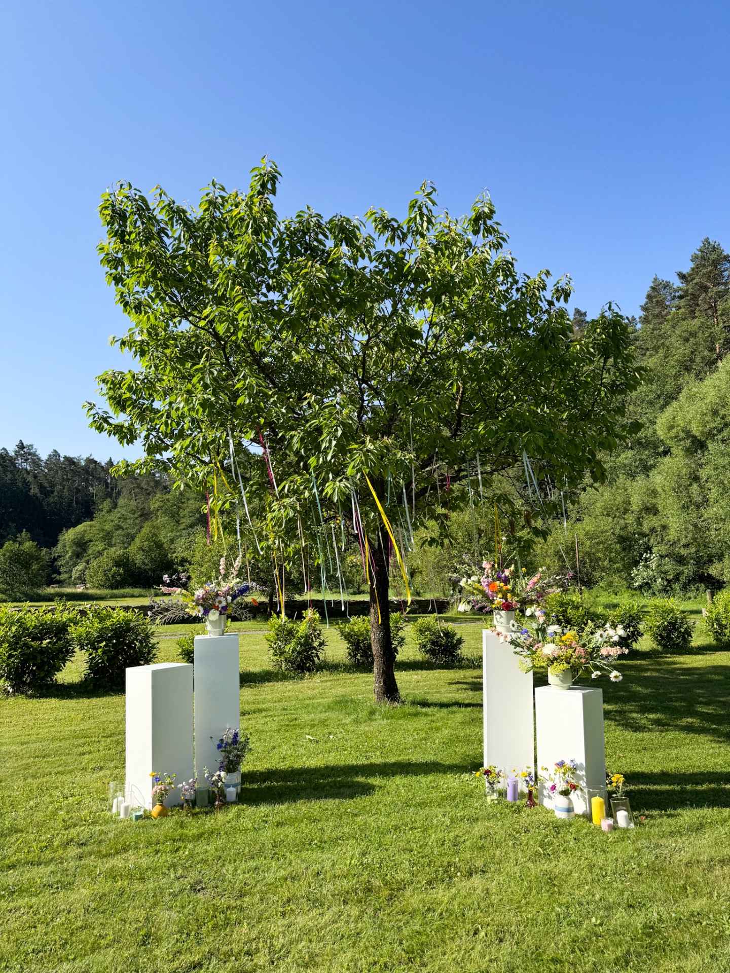 Barevná svatba