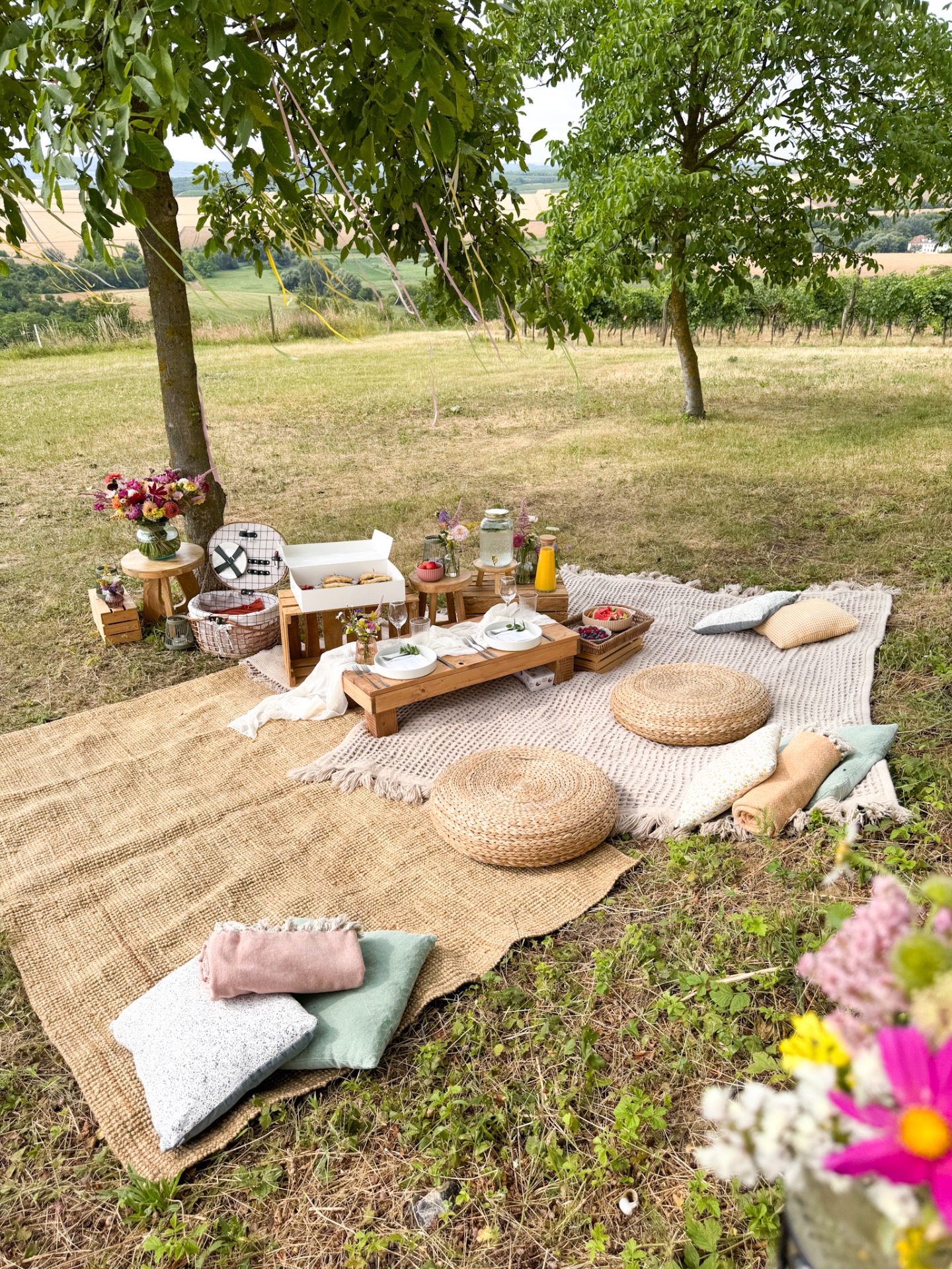 Piknik k výročí svatby